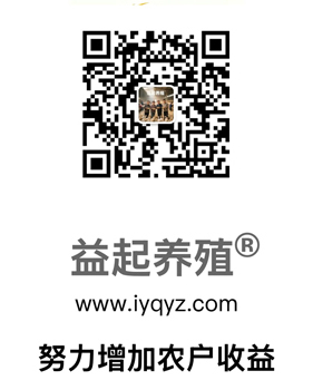1文章尾.jpg