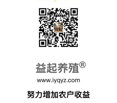 1文章尾2.jpg