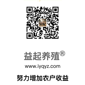 1文章尾.jpg